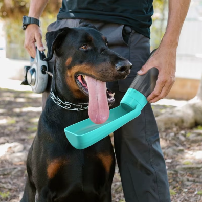 Dog Water Bottle – Easy Hydration, Anywhere, Anytime